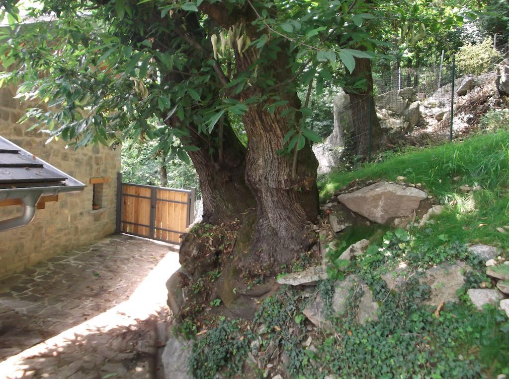 Agriturismo Ai Ronchi سوريكو المظهر الخارجي الصورة