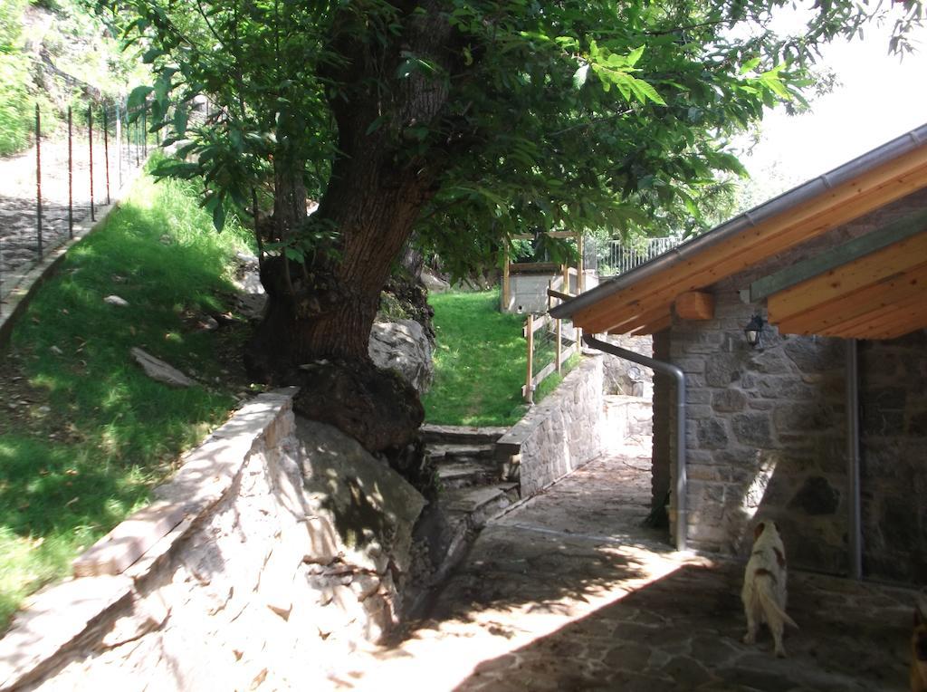 Agriturismo Ai Ronchi سوريكو المظهر الخارجي الصورة