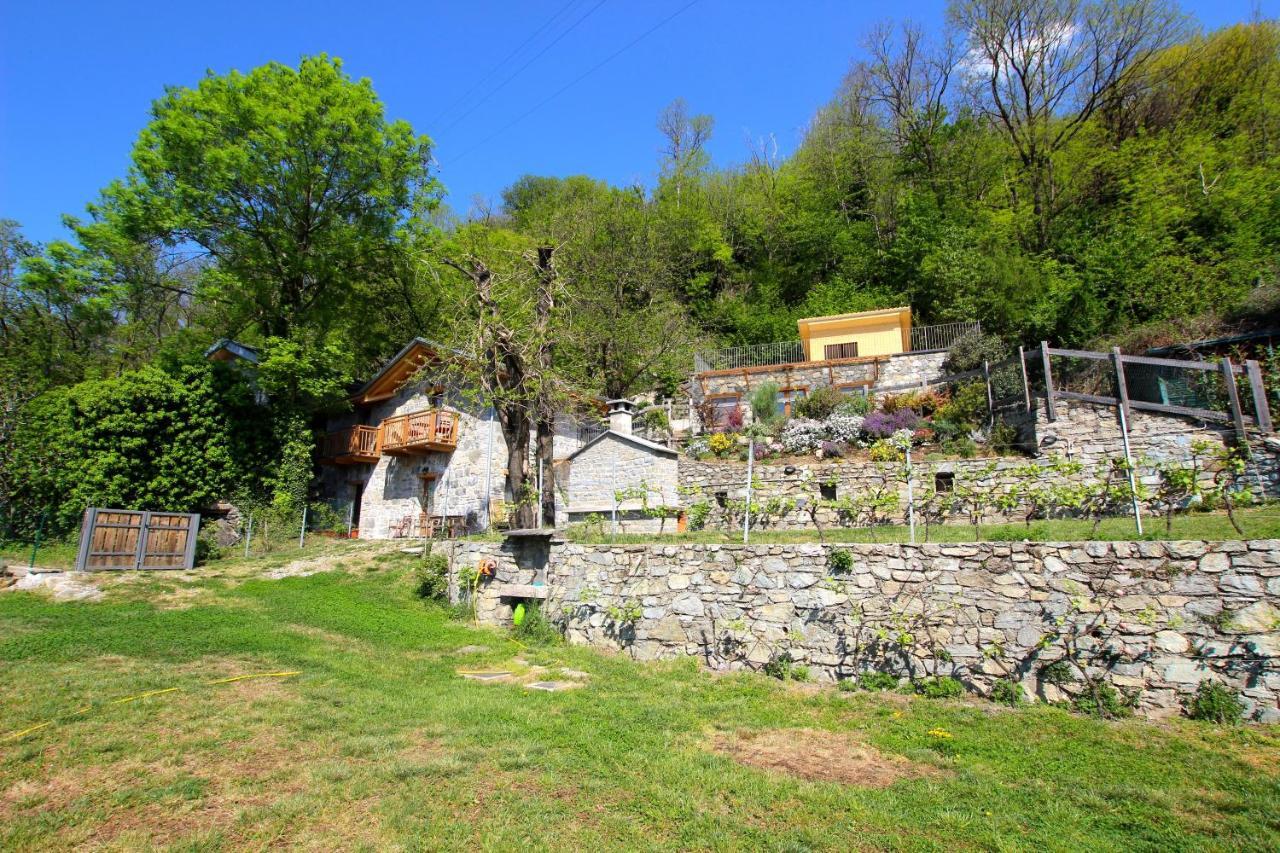 Agriturismo Ai Ronchi سوريكو الغرفة الصورة